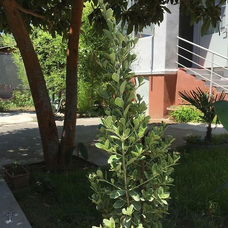 Green House Tbilisi Exterior photo